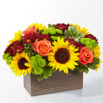 Happy Harvest Garden –  Diana Flowers, Passaic NJ