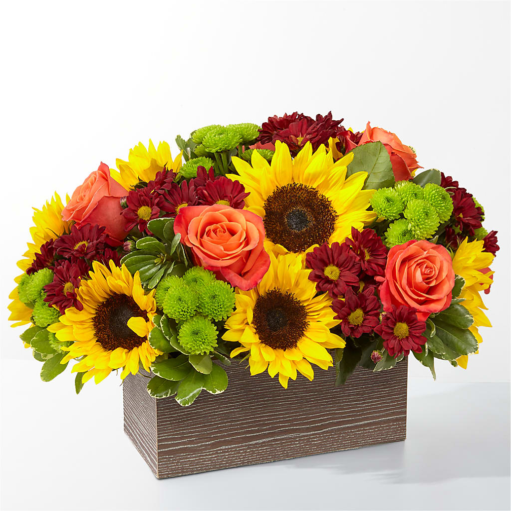 Happy Harvest Garden –  Diana Flowers, Passaic NJ
