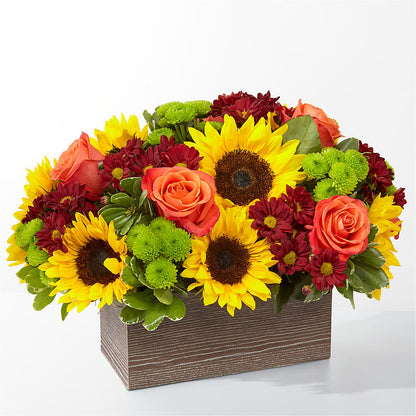 Happy Harvest Garden –  Diana Flowers, Passaic NJ