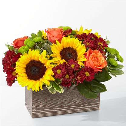 Happy Harvest Garden –  Diana Flowers, Passaic NJ