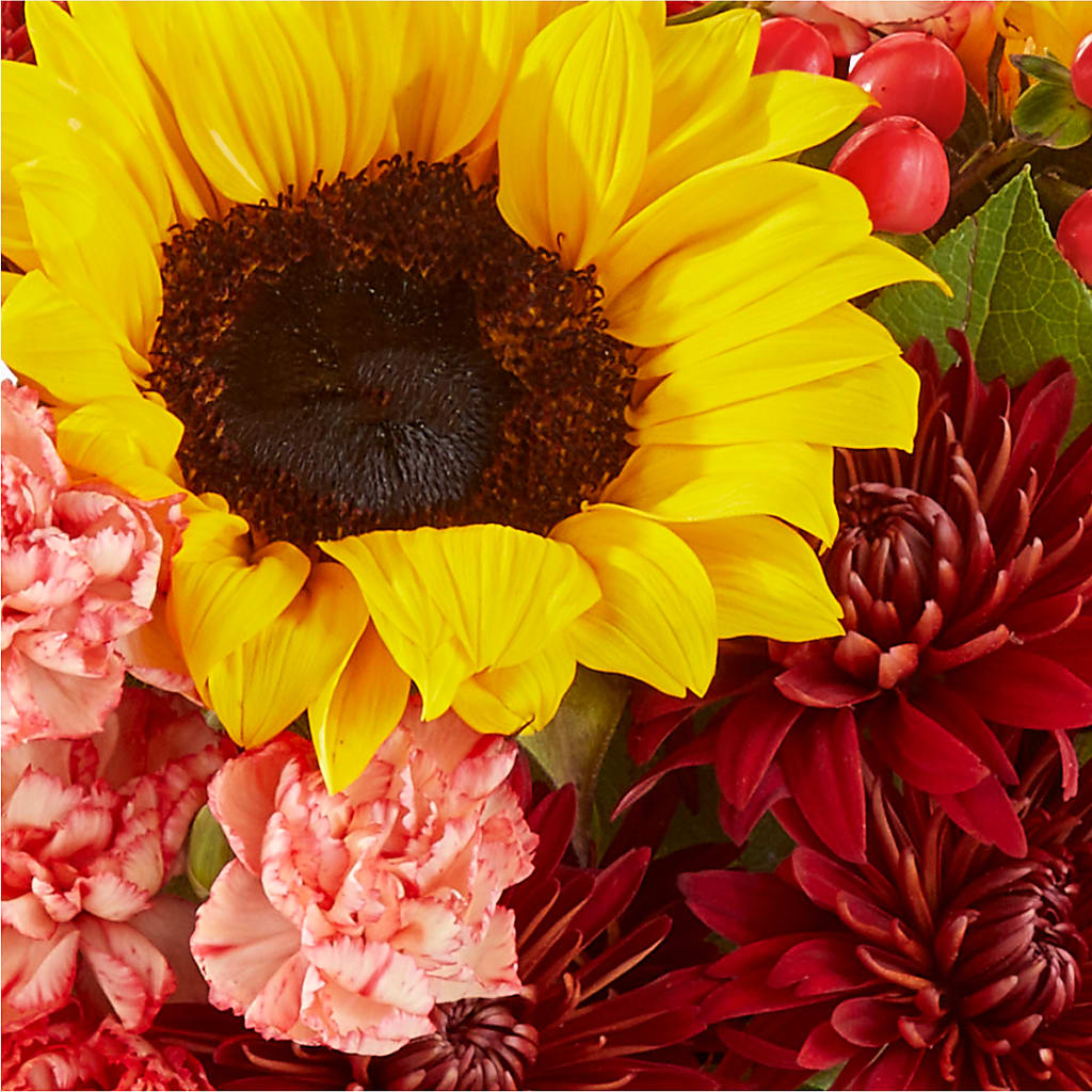Fresh Cider Bouquet –  Diana Flowers, Passaic NJ