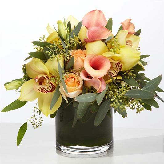 The Visionary –  Diana Flowers, Passaic NJ