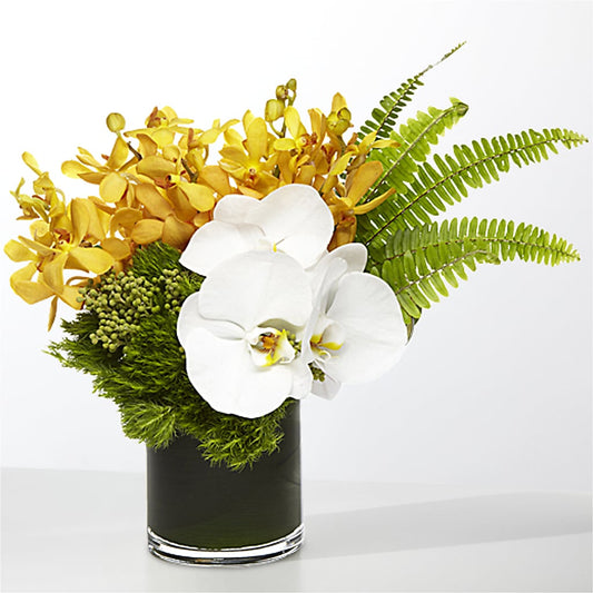 The Tropics –  Diana Flowers, Passaic NJ