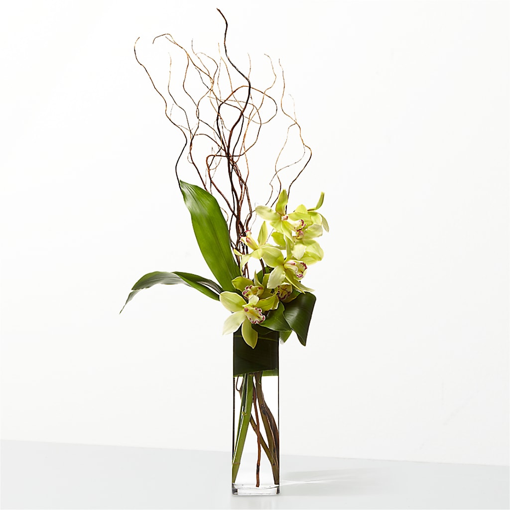 The Statement –  Diana Flowers, Passaic NJ