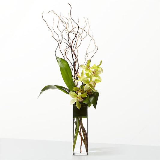 The Statement –  Diana Flowers, Passaic NJ