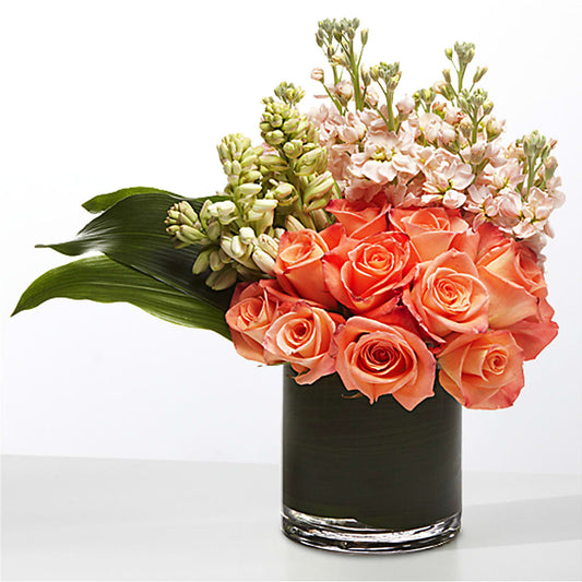 The Moment –  Diana Flowers, Passaic NJ
