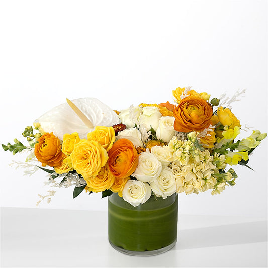 The Optimist –  Diana Flowers, Passaic NJ