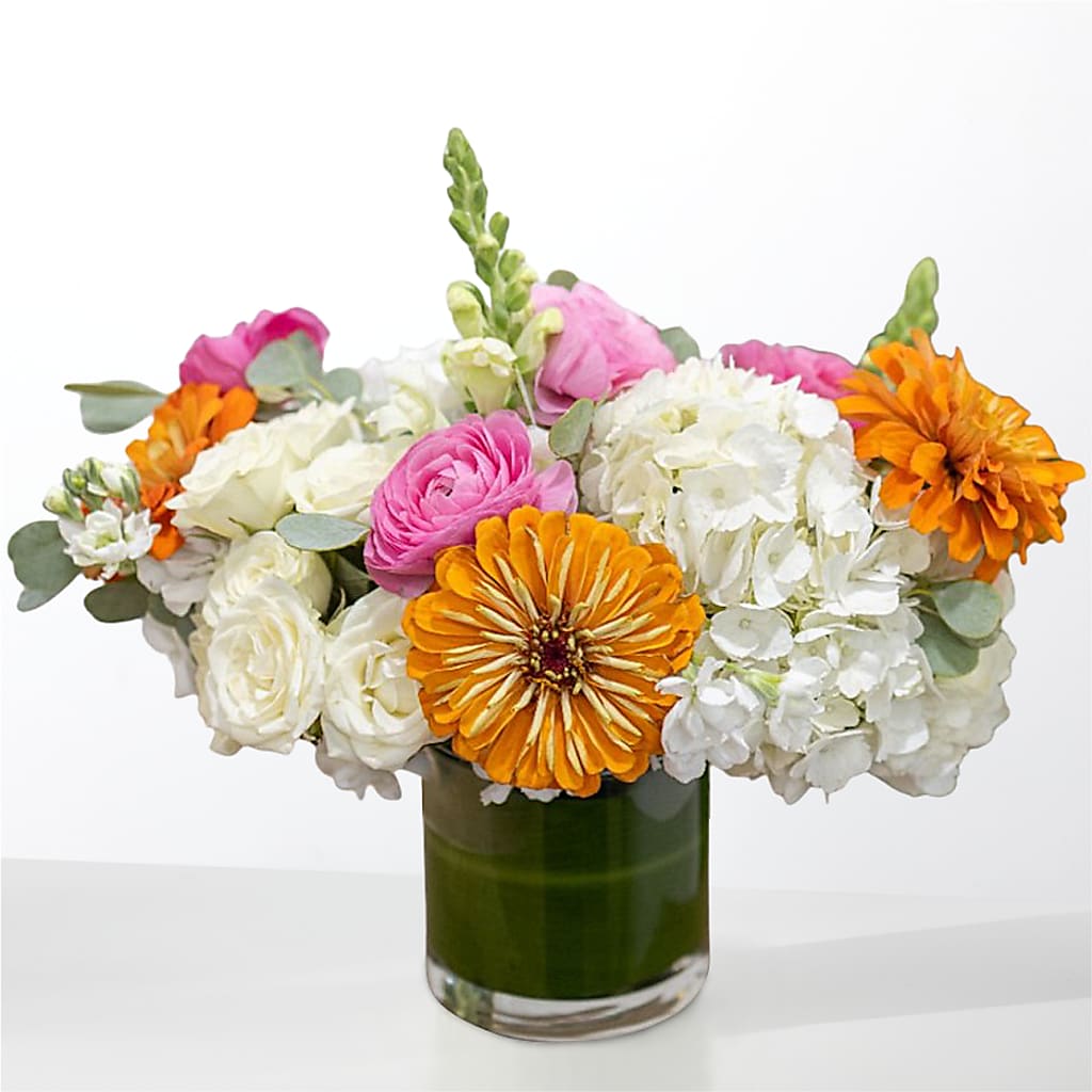 The Meet Cute –  Diana Flowers, Passaic NJ