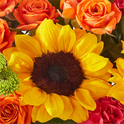 Sun-drenched Blooms Box Bouquet –  Diana Flowers, Passaic NJ