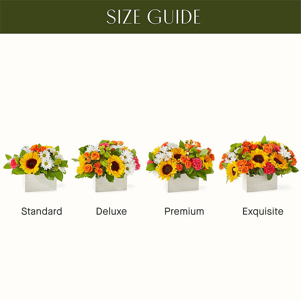 Sun-drenched Blooms Box Bouquet –  Diana Flowers, Passaic NJ