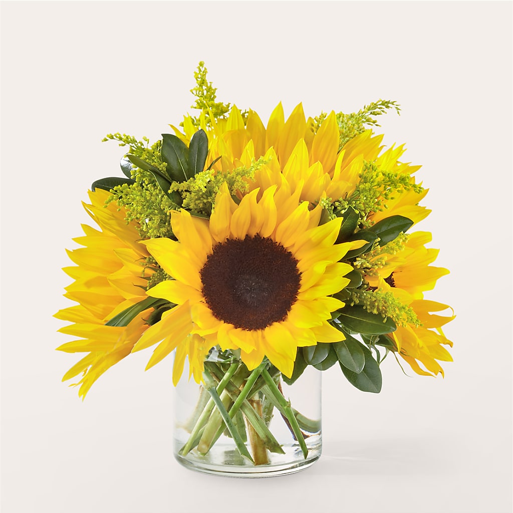 Beaming Sunflower Bouquet –  Diana Flowers, Passaic NJ