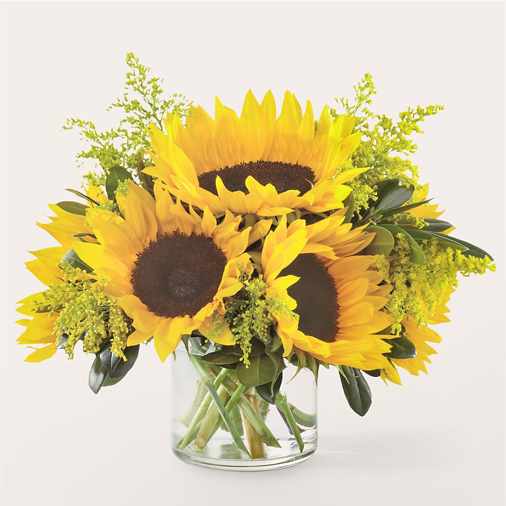 Beaming Sunflower Bouquet –  Diana Flowers, Passaic NJ