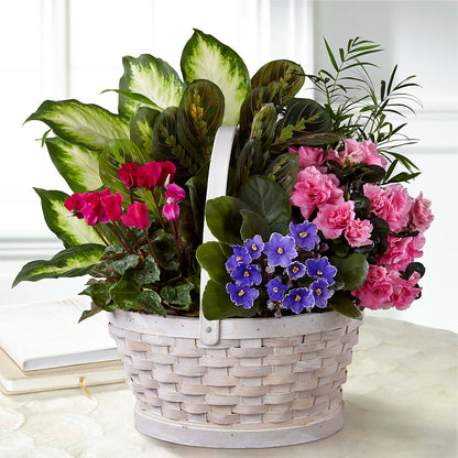 Peaceful Garden Planter –  Diana Flowers, Passaic NJ
