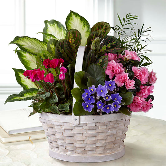 Peaceful Garden Planter –  Diana Flowers, Passaic NJ