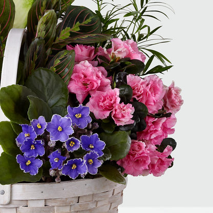 Peaceful Garden Planter –  Diana Flowers, Passaic NJ