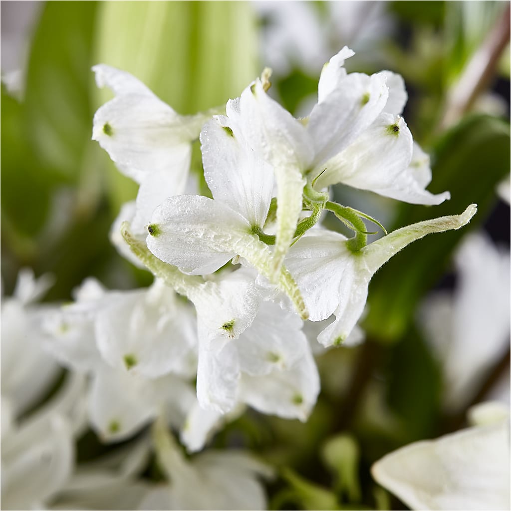 Classic Ivory – A Florist Original –  Diana Flowers, Passaic NJ