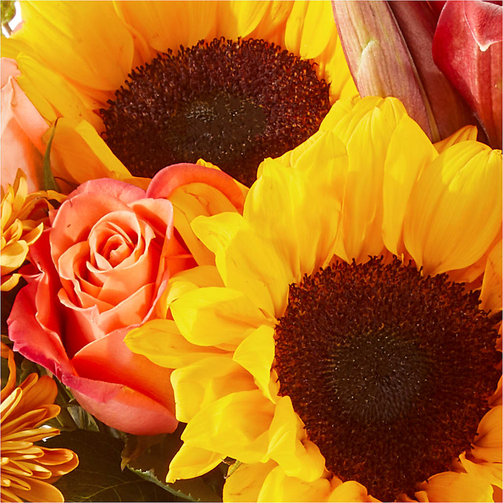 Acorn Lane Bouquet –  Diana Flowers, Passaic NJ