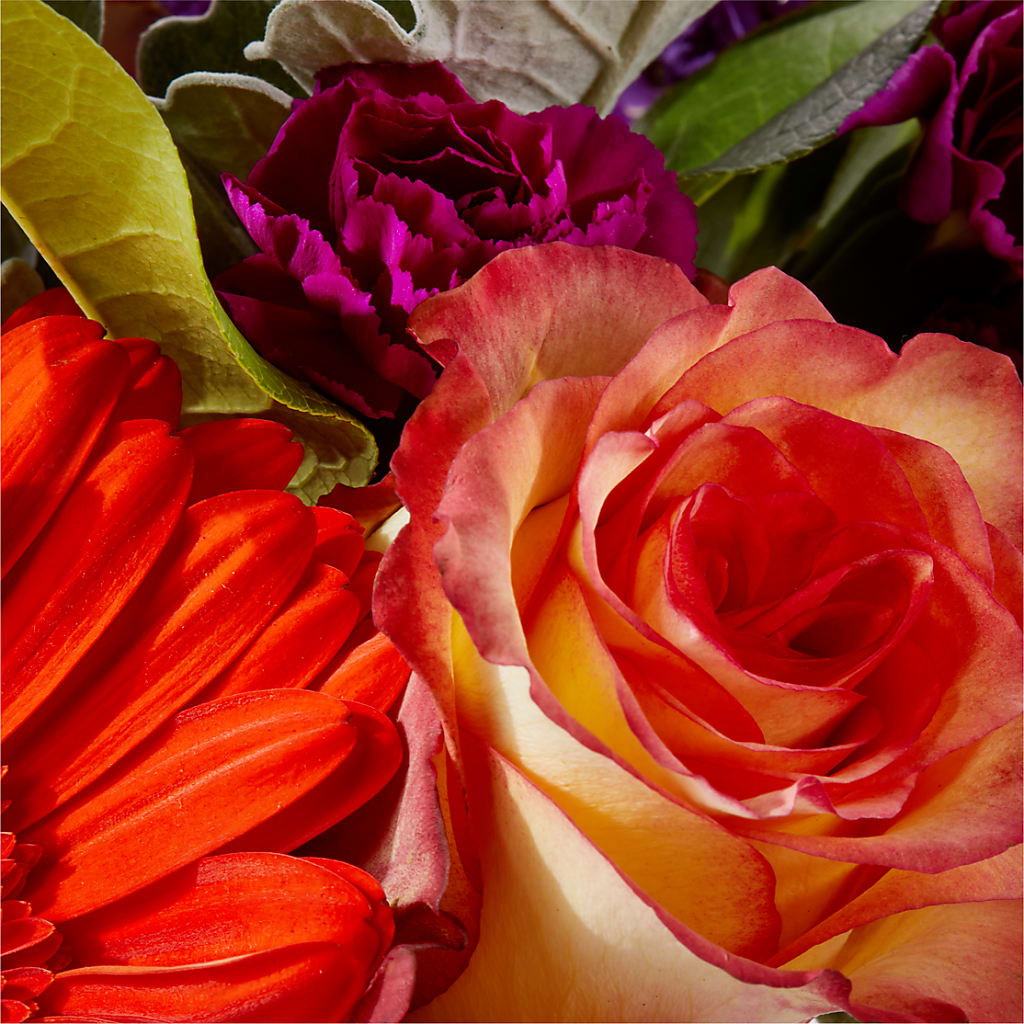 Sangria Bouquet –  Diana Flowers, Passaic NJ