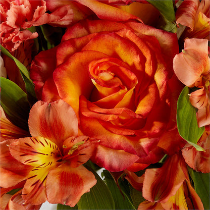 Apricot Glow Bouquet –  Diana Flowers, Passaic NJ