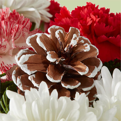 Candy Cane Lane Bouquet –  Diana Flowers, Passaic NJ