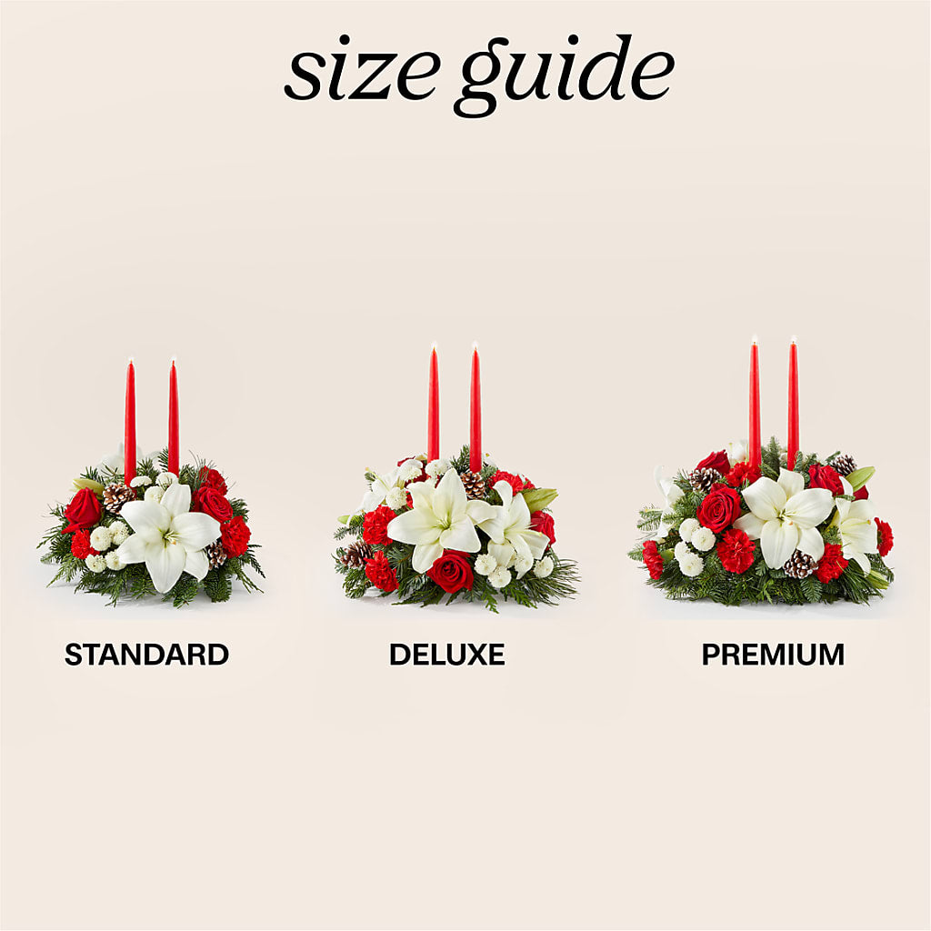 Seasonal Festivities Centerpiece –  Diana Flowers, Passaic NJ