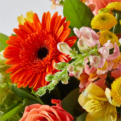 Autumn Sunshine Bouquet –  Diana Flowers, Passaic NJ
