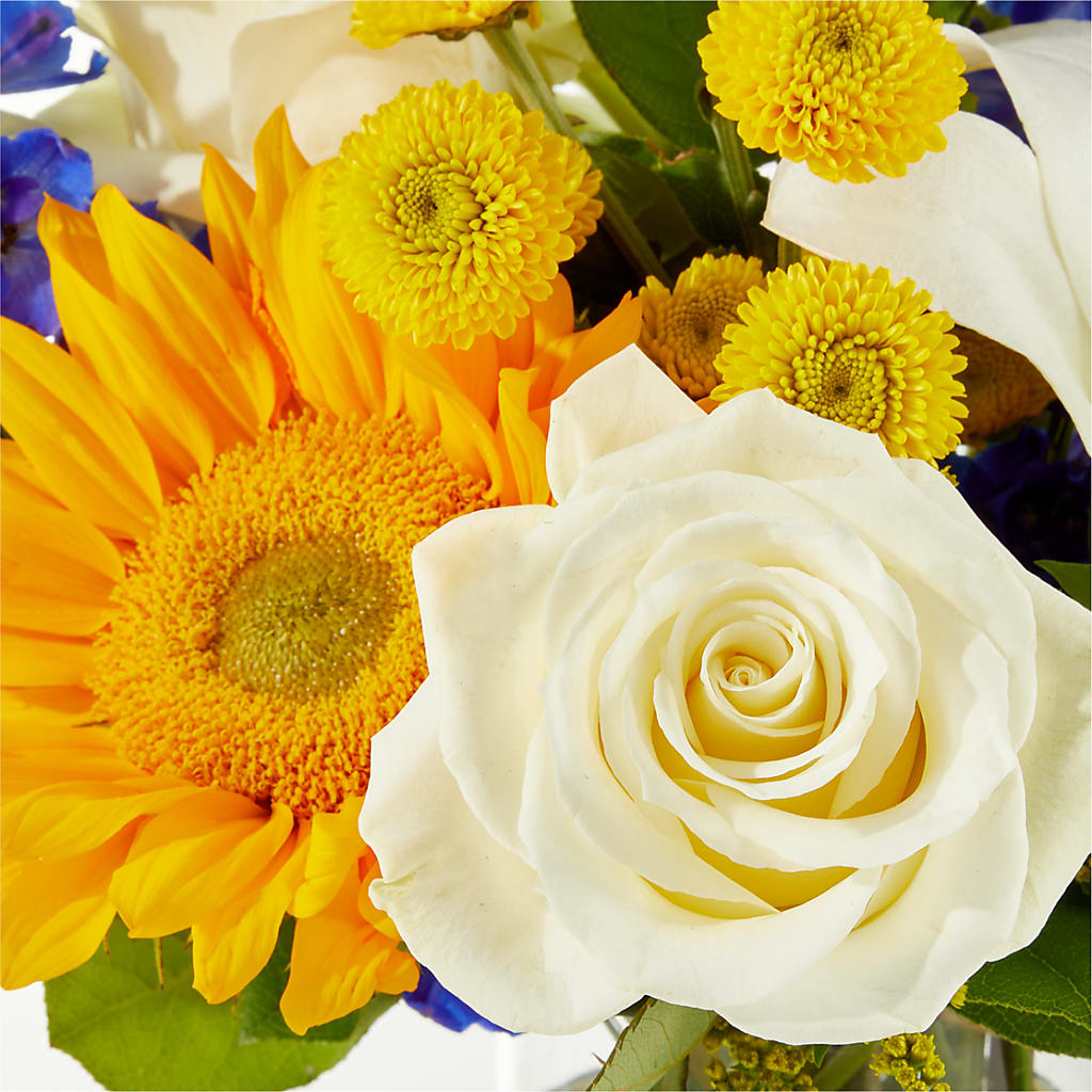 Stargazing Bouquet –  Diana Flowers, Passaic NJ