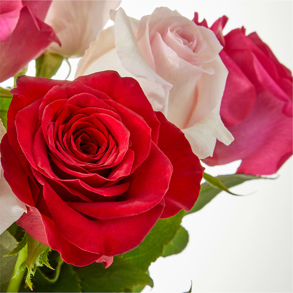 Charming Rose Bouquet –  Diana Flowers, Passaic NJ