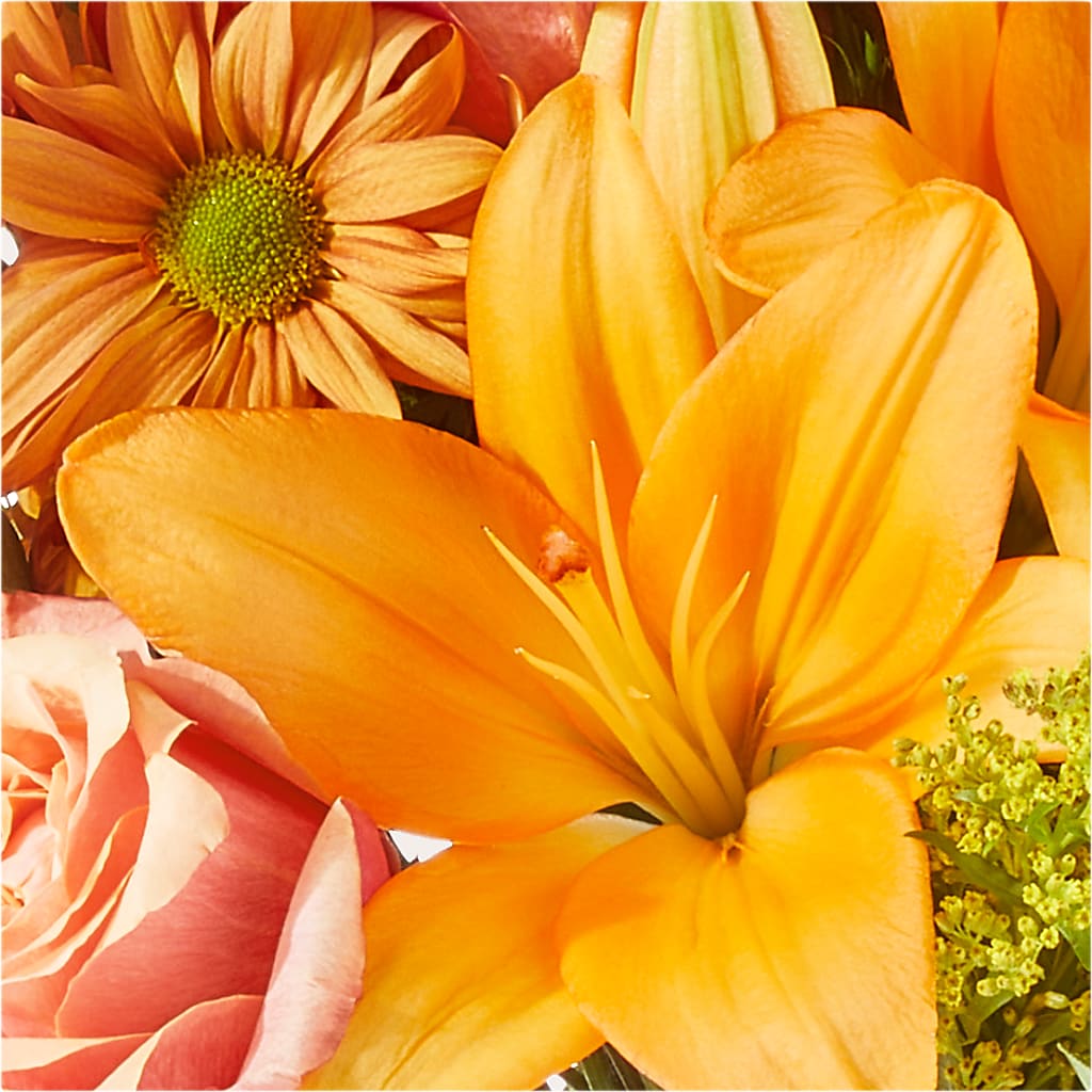 Harvest Hayride Bouquet –  Diana Flowers, Passaic NJ