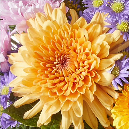 Countryside Bouquet –  Diana Flowers, Passaic NJ