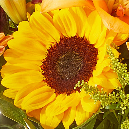 Seasons Change Bouquet –  Diana Flowers, Passaic NJ