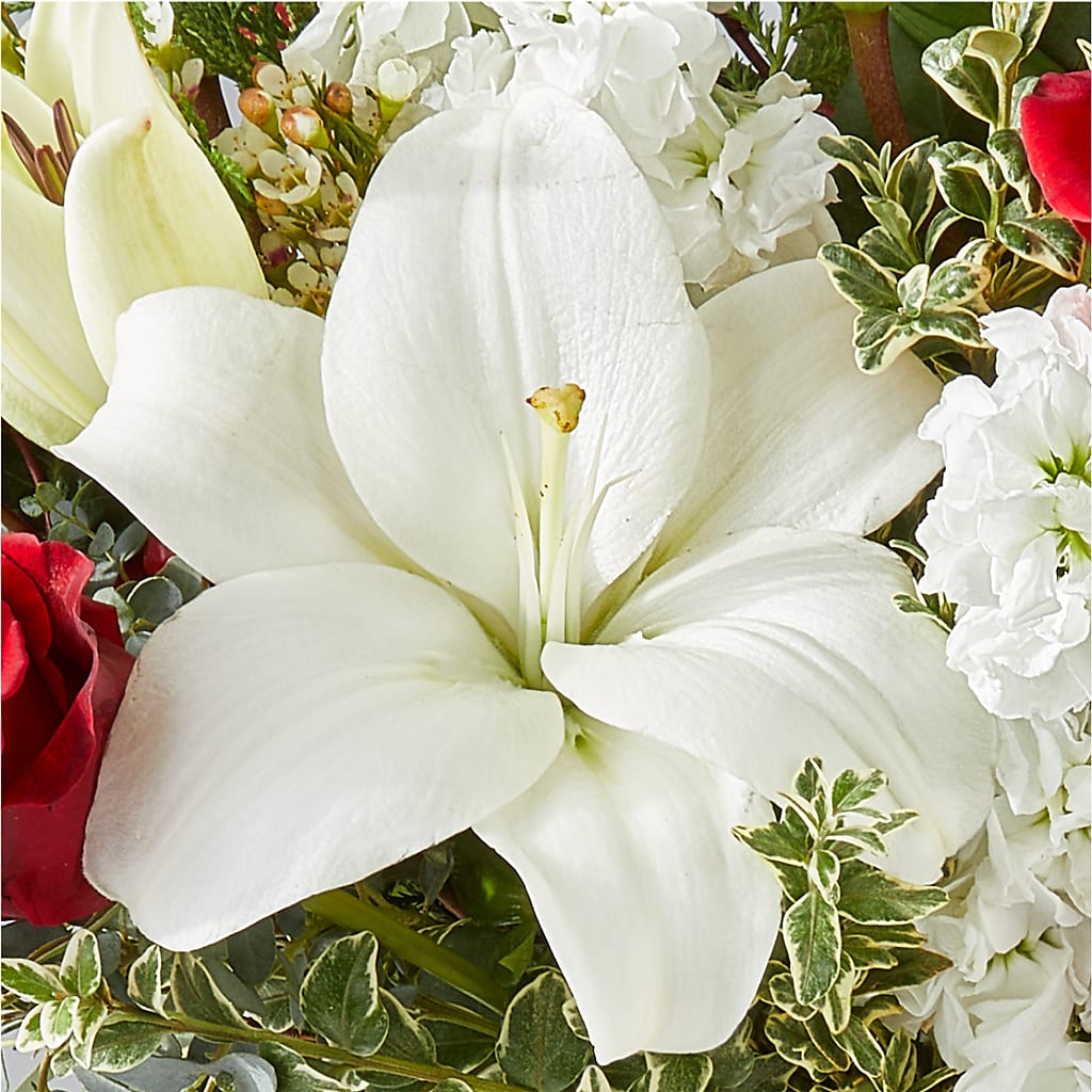 Twinkle Lights Bouquet –  Diana Flowers, Passaic NJ