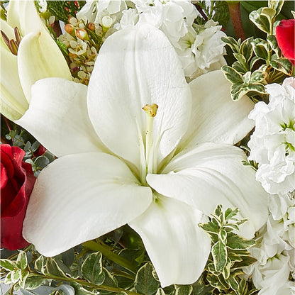 Twinkle Lights Bouquet –  Diana Flowers, Passaic NJ