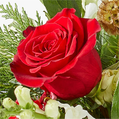 Deck the Halls Bouquet –  Diana Flowers, Passaic NJ