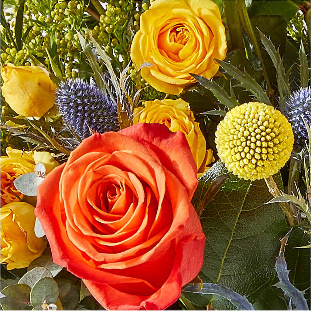 Disco Bouquet –  Diana Flowers, Passaic NJ