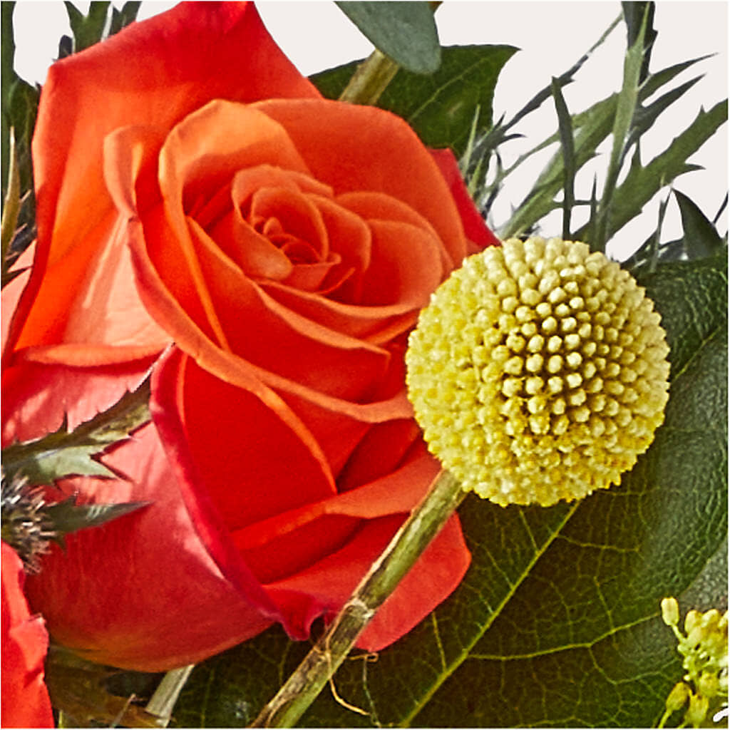 Disco Bouquet –  Diana Flowers, Passaic NJ