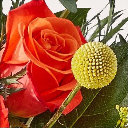 Disco Bouquet –  Diana Flowers, Passaic NJ