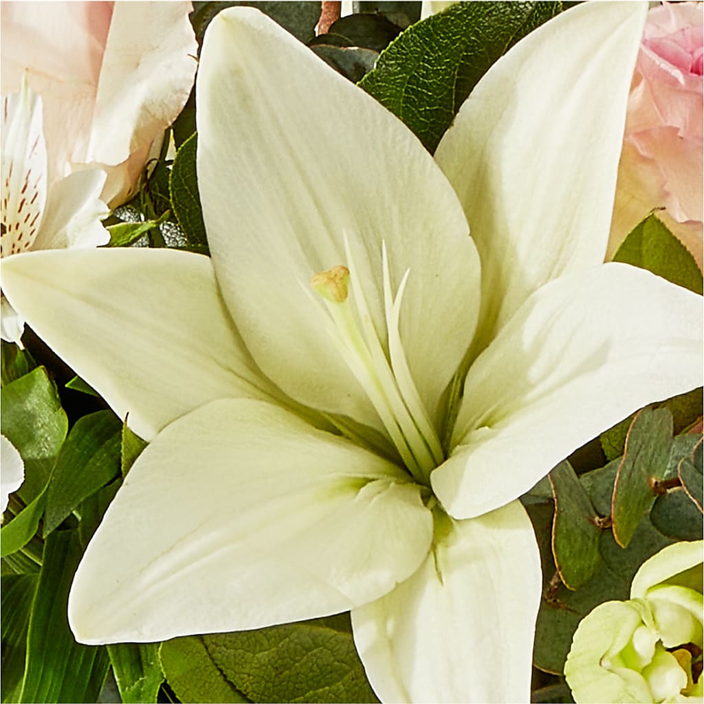 Ballet Slippers Bouquet –  Diana Flowers, Passaic NJ