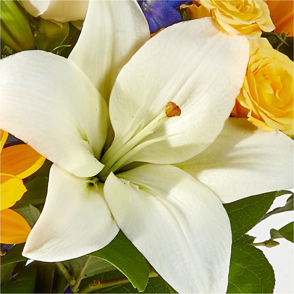 Wonderfully Sunny Bouquet –  Diana Flowers, Passaic NJ