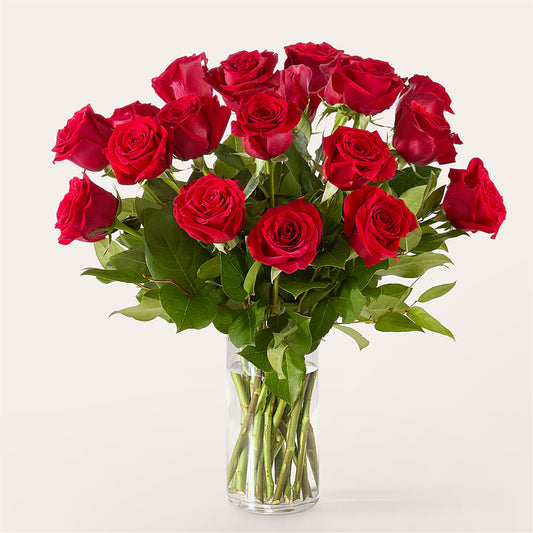 The One Red Rose Bouquet –  Diana Flowers, Passaic NJ