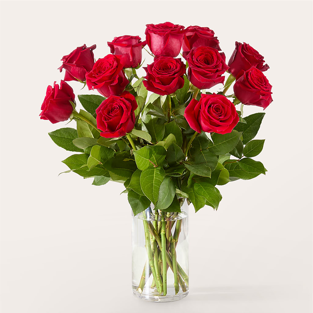 The One Red Rose Bouquet –  Diana Flowers, Passaic NJ