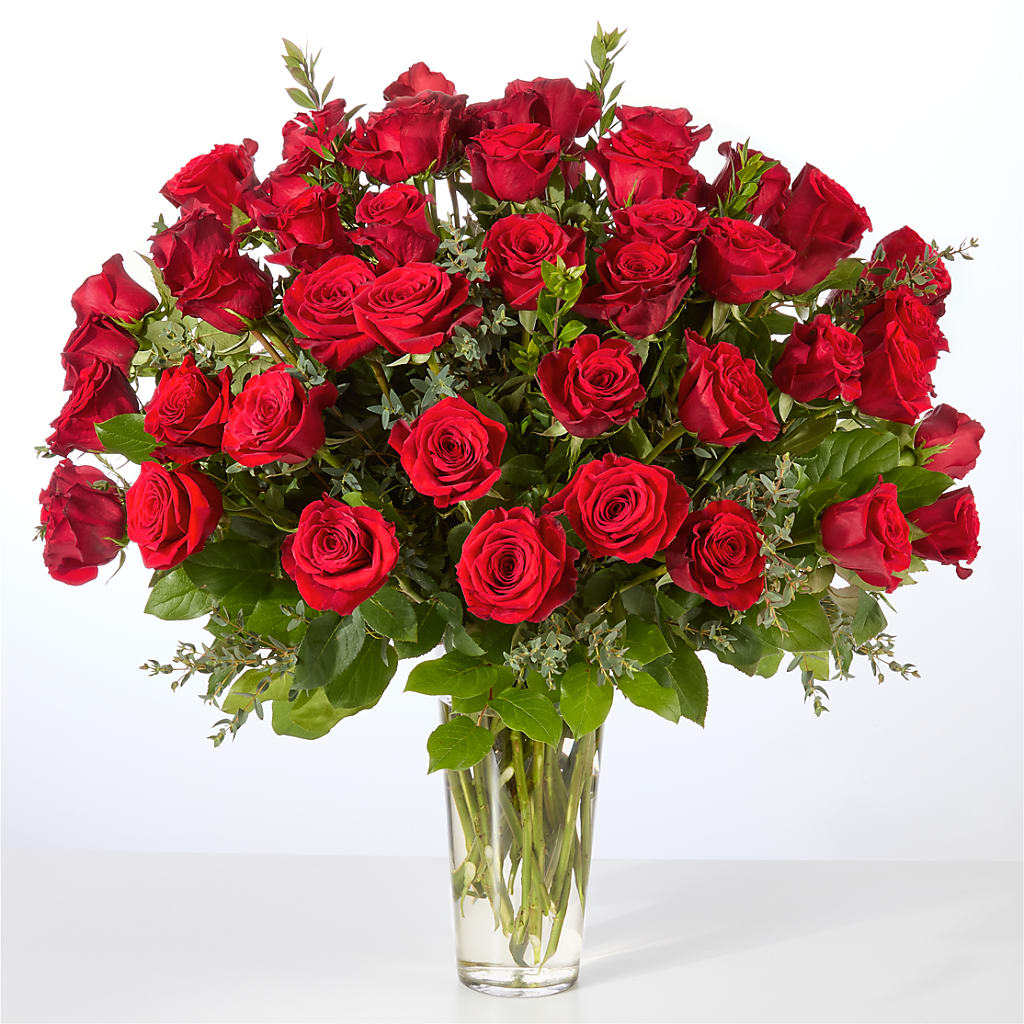 Forever Yours Fifty Stem Red Rose Bouquet –  Diana Flowers, Passaic NJ