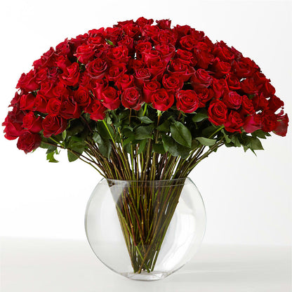 The Idealist –  Diana Flowers, Passaic NJ