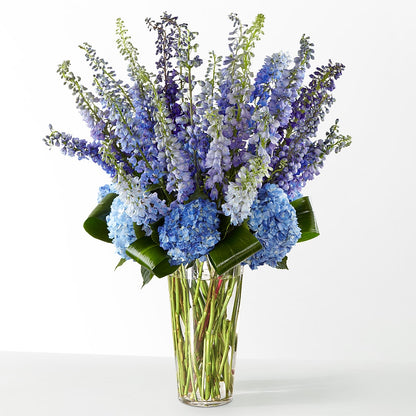The Editorial –  Diana Flowers, Passaic NJ