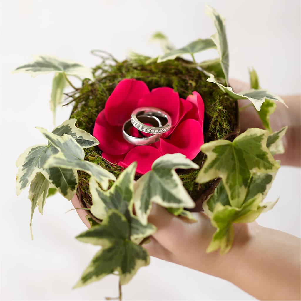 Lila Rose Ring Nest –  Diana Flowers, Passaic NJ