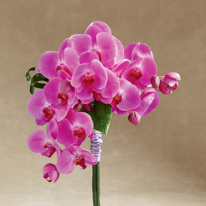 Glorious Bouquet –  Diana Flowers, Passaic NJ