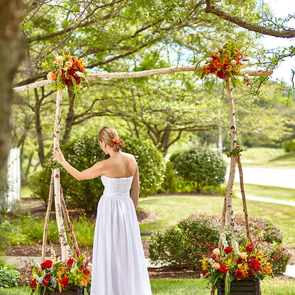 Arbor of Love Archway –  Diana Flowers, Passaic NJ