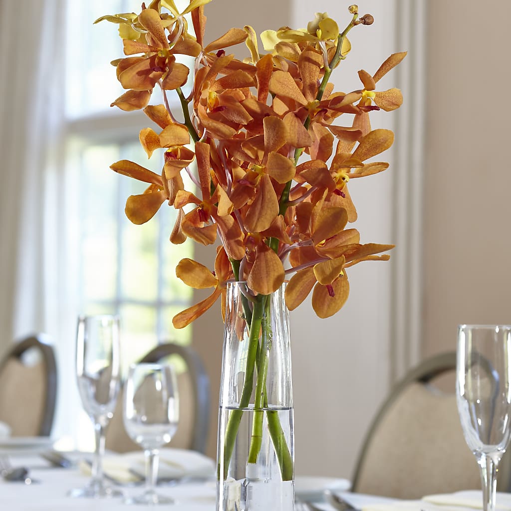 Orange Mokara Bud Vase –  Diana Flowers, Passaic NJ