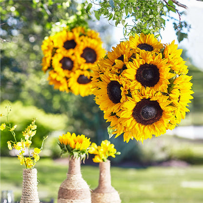 Sublime Garden Hanging Arrangement –  Diana Flowers, Passaic NJ