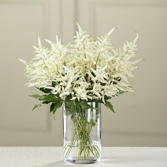 White Astilbe Bouquet –  Diana Flowers, Passaic NJ